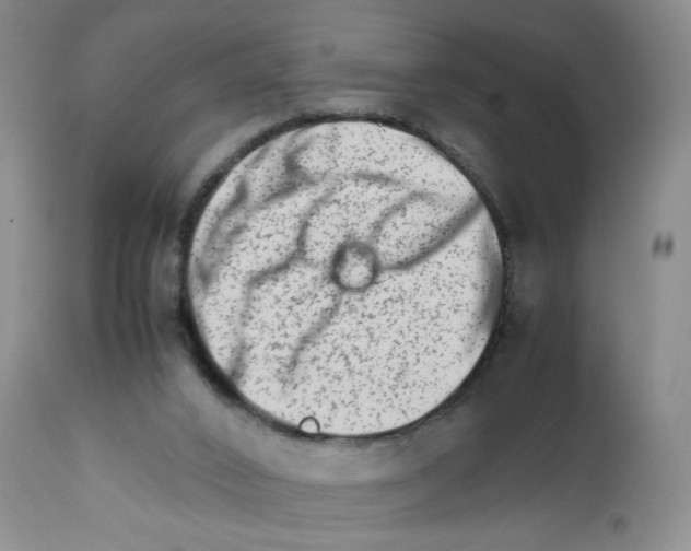 X0000111680016200908281146