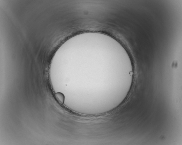 X0000111680017200908281146