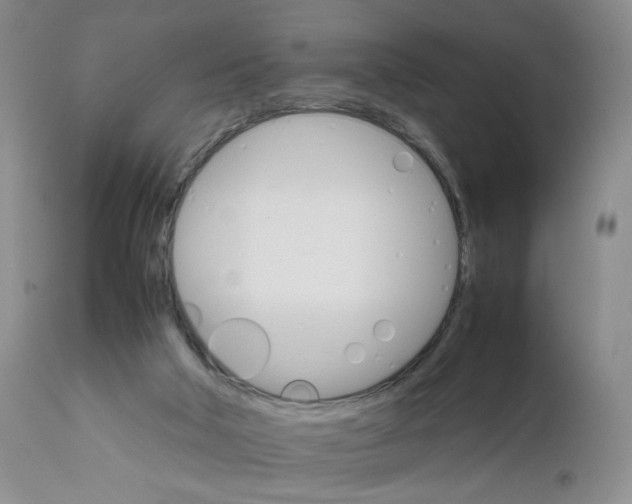 X0000111680018200908281146