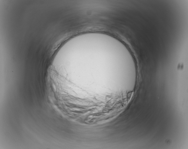 X0000111680019200908281146