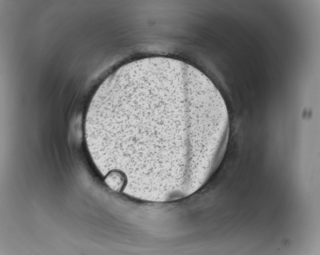 X0000111680020200908281146