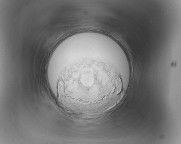 X0000111680021200908281146