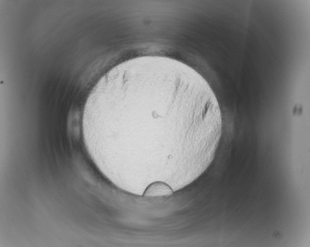 X0000111680022200908281146