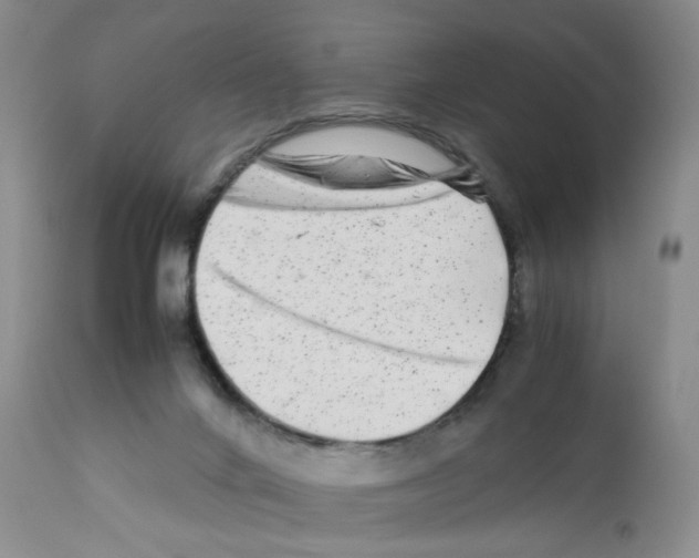 X0000111680024200908281146