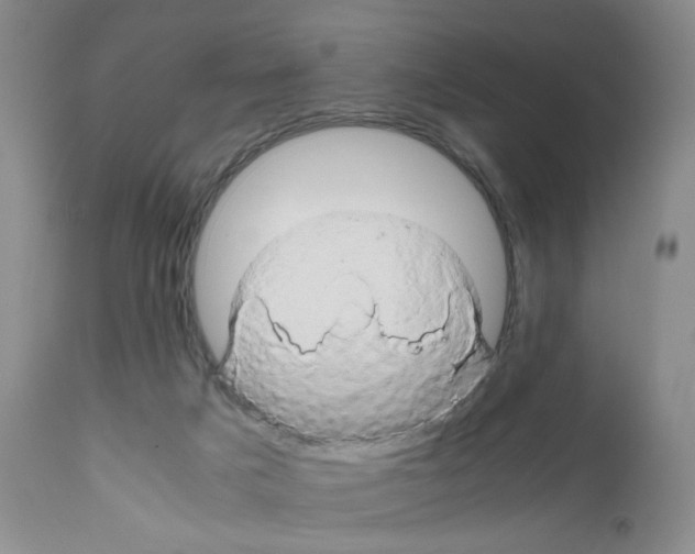 X0000111680025200908281146