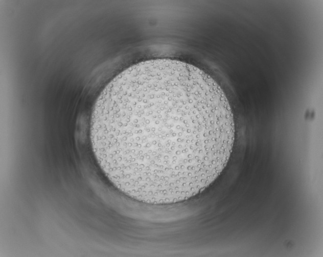 X0000111680026200908281146