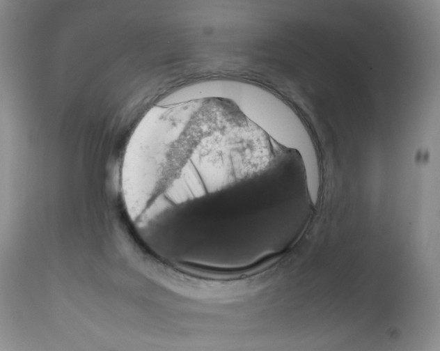 X0000111680027200908281146