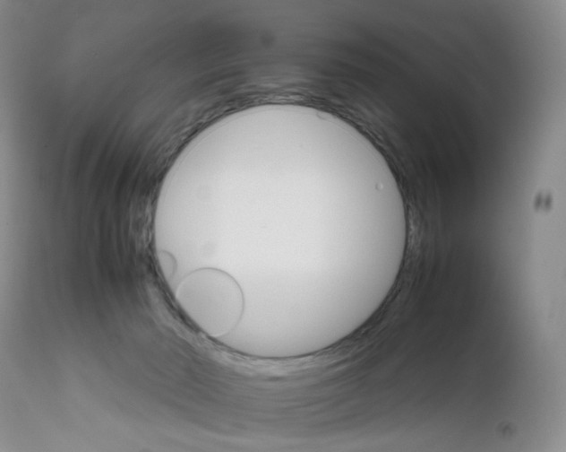 X0000111680030200908281146