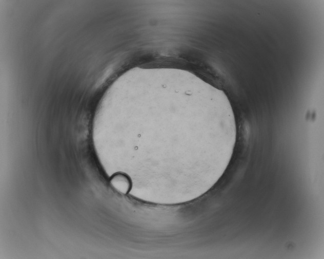 X0000111680032200908281146