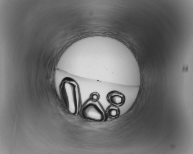 X0000111680033200908281146