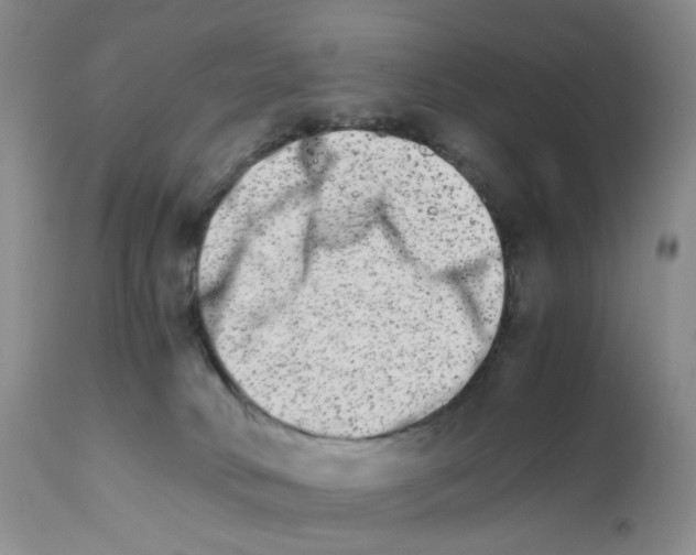 X0000111680034200908281146