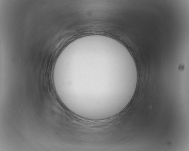 X0000111680035200908281146