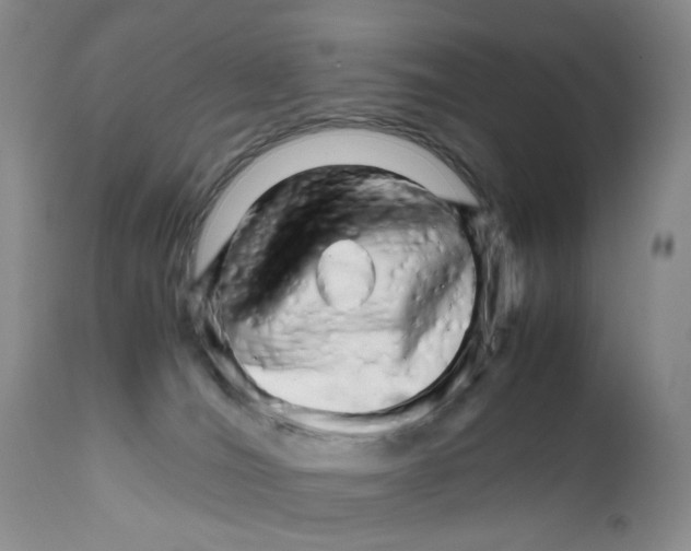 X0000111680036200908281146