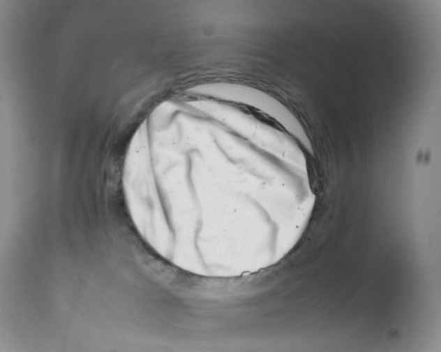 X0000111680037200908281146