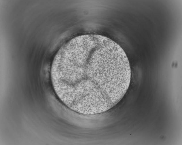 X0000111680038200908281146