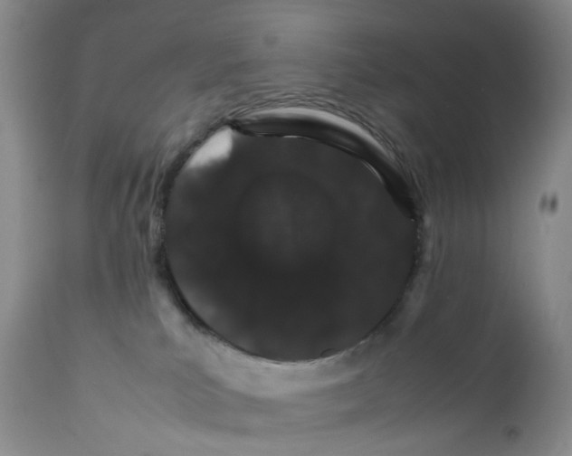 X0000111680039200908281146