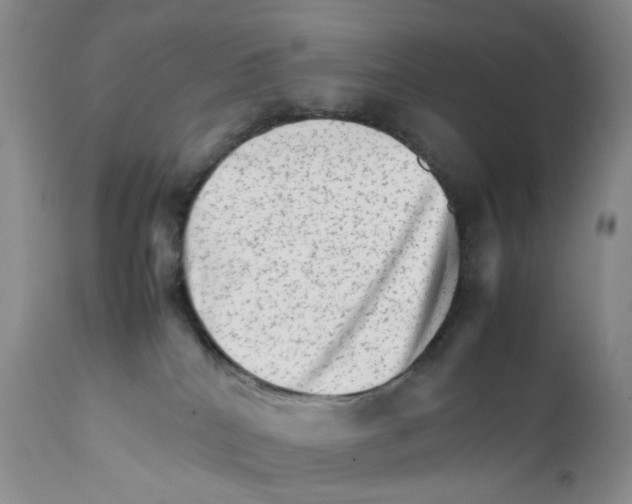 X0000111680040200908281146