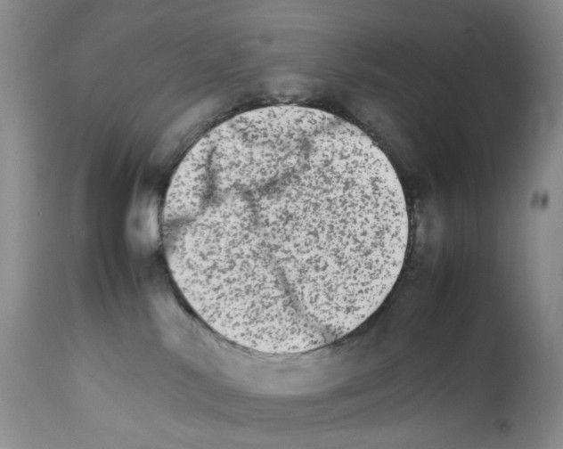 X0000111680042200908281146