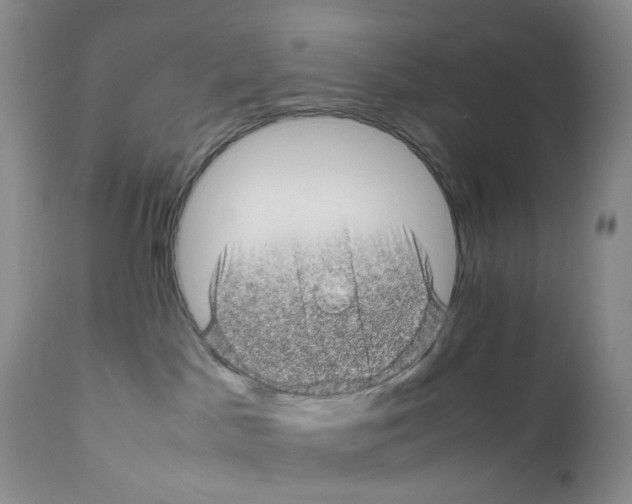 X0000111680045200908281146