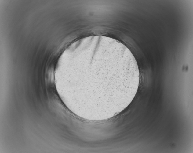 X0000111680046200908281146