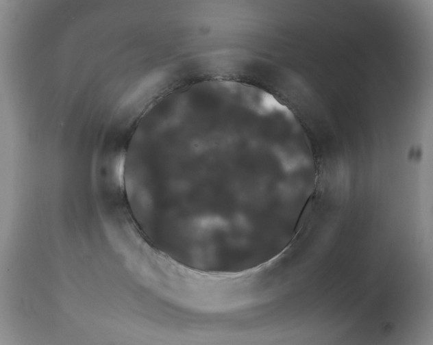 X0000111680047200908281146