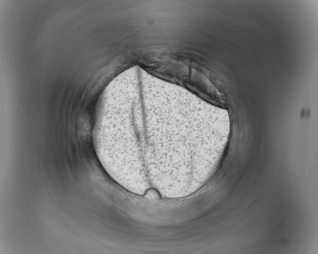 X0000111680048200908281146