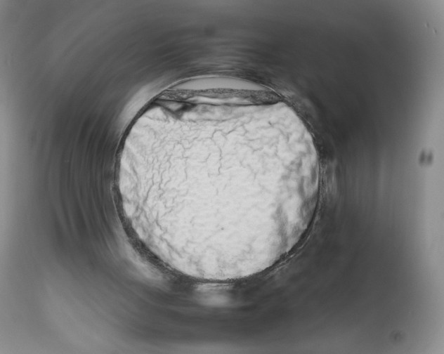 X0000111680051200908281145