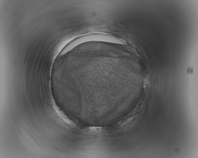 X0000111680052200908281145