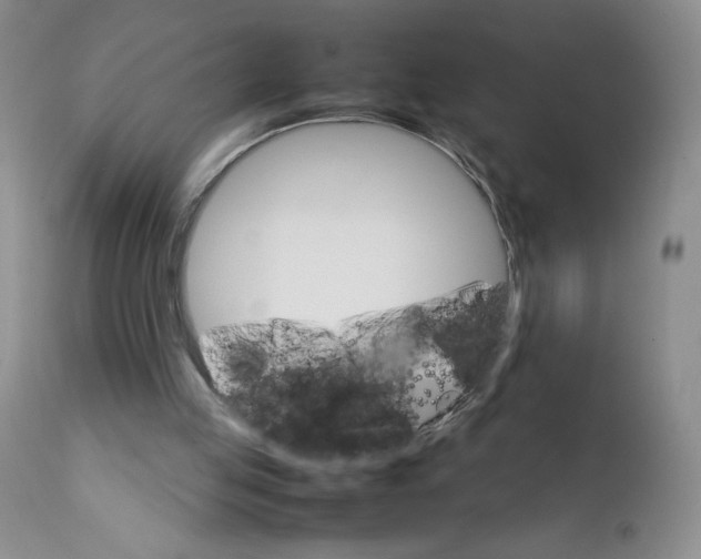 X0000111680053200908281145