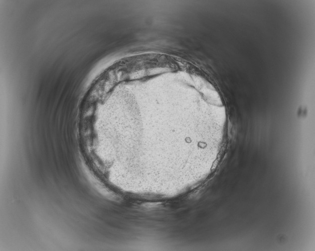 X0000111680054200908281145