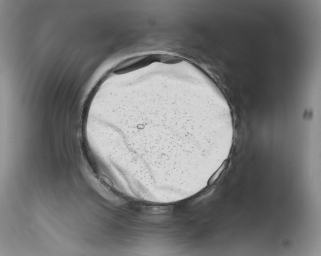 X0000111680056200908281145