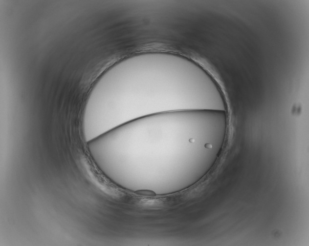 X0000111680057200908281145