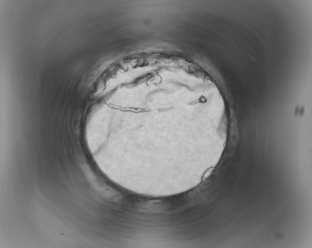 X0000111680058200908281145