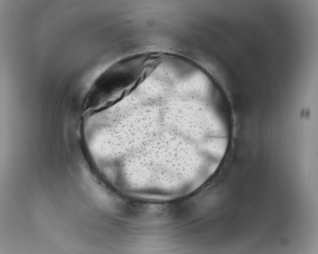 X0000111680060200908281145