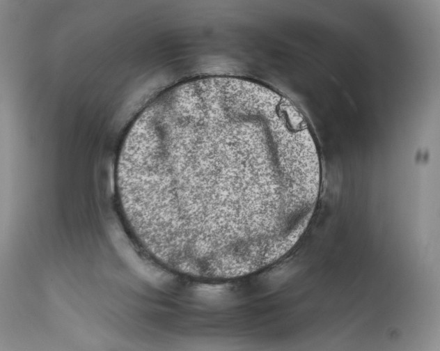 X0000111680061200908281145