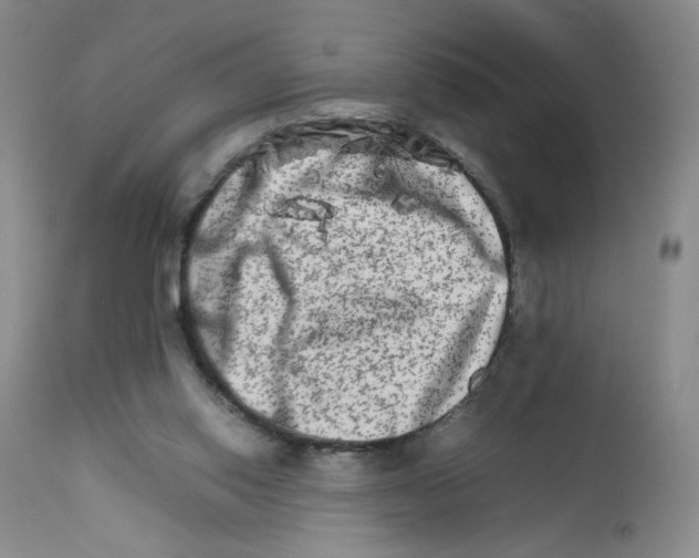 X0000111680062200908281145