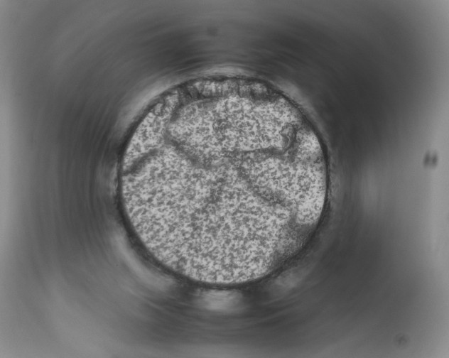 X0000111680063200908281145