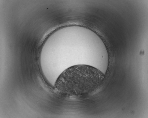 X0000111680064200908281145