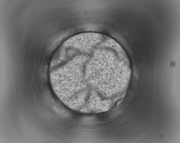 X0000111680066200908281145