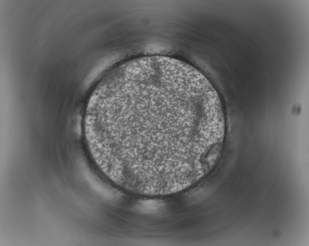 X0000111680067200908281145