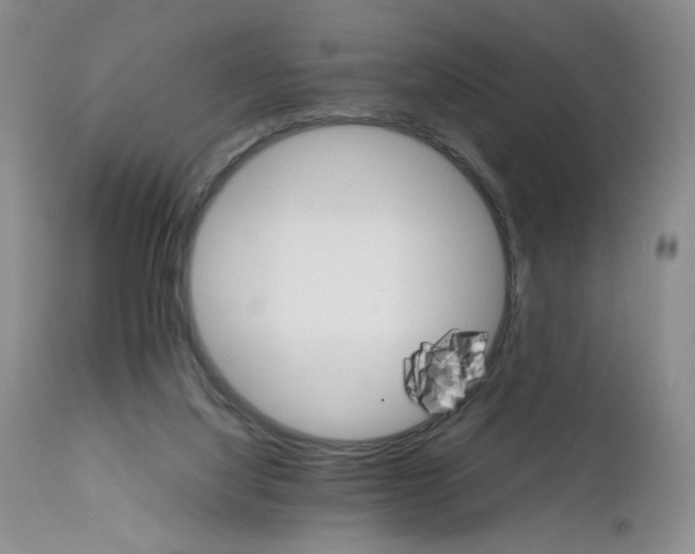 X0000111680068200908281145