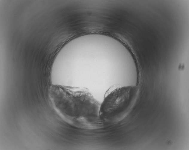 X0000111680069200908281145