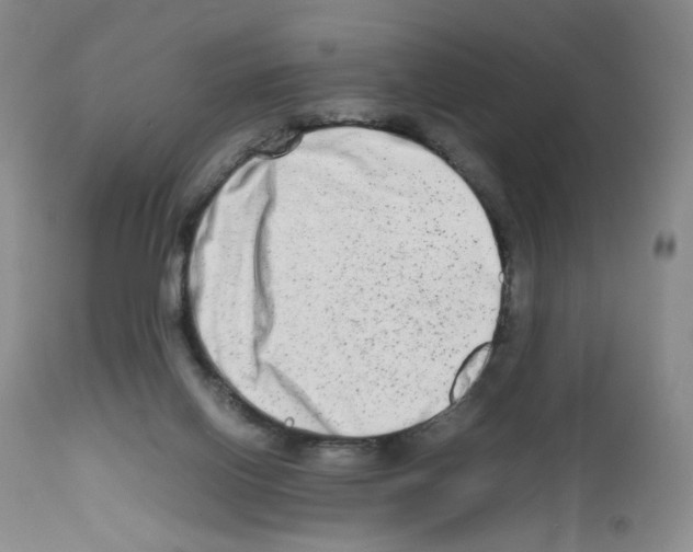 X0000111680070200908281145