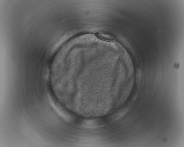 X0000111680072200908281145