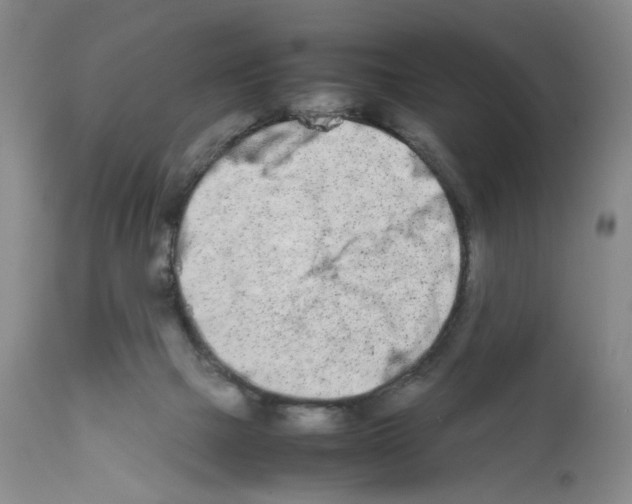 X0000111680073200908281145