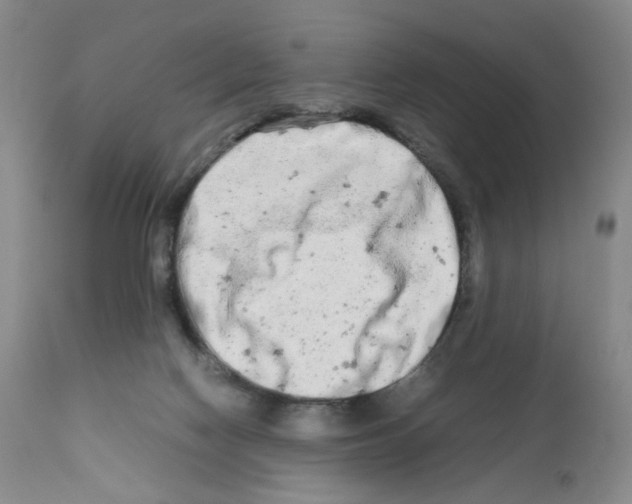 X0000111680074200908281145