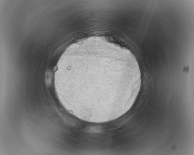 X0000111680075200908281145