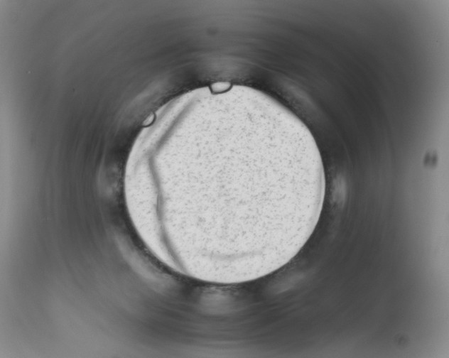 X0000111680077200908281145