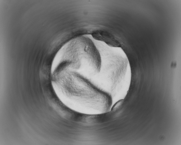 X0000111680078200908281145