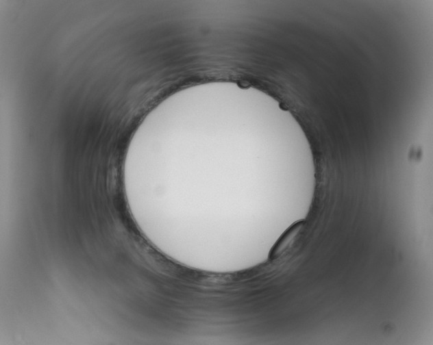 X0000111680080200908281145